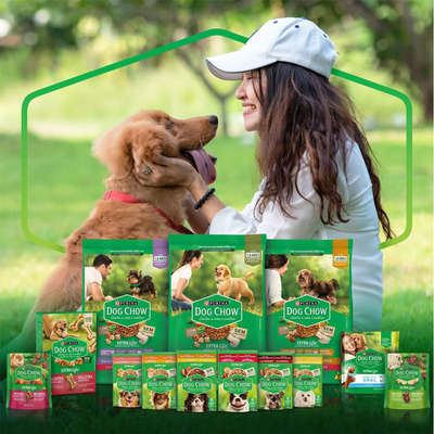 Ração Úmida Nestlé Purina Dog Chow Sachê Carne para Cães Adultos - Imagem 5